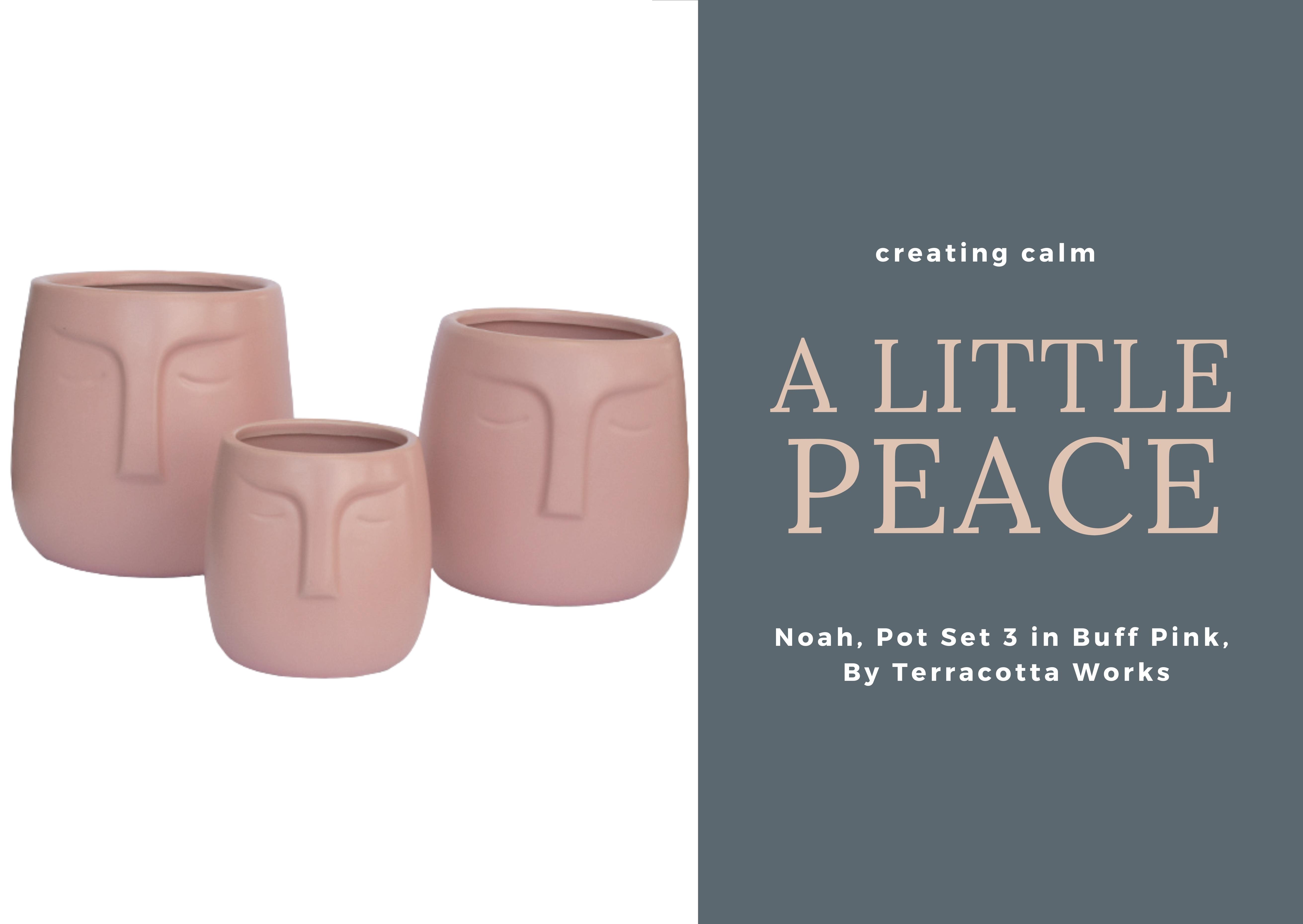 Noah Pot Set